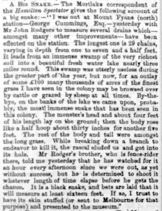 THE GOVERNMENT GAZETTE. (1864, February 23). The Star (Ballarat, Vic. : 1855 - 1864), p. 4. Retrieved January 22, 2013, from http://nla.gov.au/nla.news-article72513798