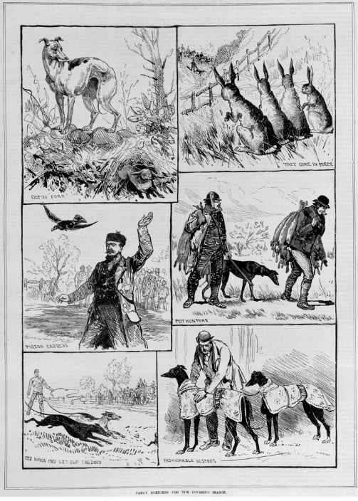 COURSING.  Image Courtesy of the State Library of Victoria.  Image no. A/S07/05/83/85  http://handle.slv.vic.gov.au/10381/156341