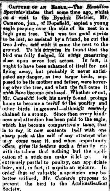 DESERVING OF RECOMPENSE. (1879, April 25). Riverine Herald (Echuca, Vic. : Moama, NSW : 1869 - 1954), p. 3. Retrieved August 3, 2013, from http://nla.gov.au/nla.news-article115122329