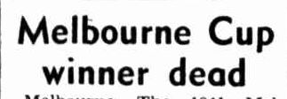 Turf Notes. (1948, December 31). The Charleville Times (Brisbane, Qld. : 1896 - 1954), p. 8. Retrieved November 3, 2013, from http://nla.gov.au/nla.news-article76553267