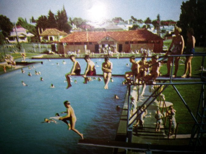 Ham pool