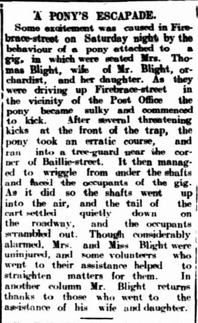 A PONY'S ESCAPADE. (1909, January 19). The Horsham Times (Vic. : 1882 - 1954), p. 3. Retrieved December 16, 2013, from http://nla.gov.au/nla.news-article72825888