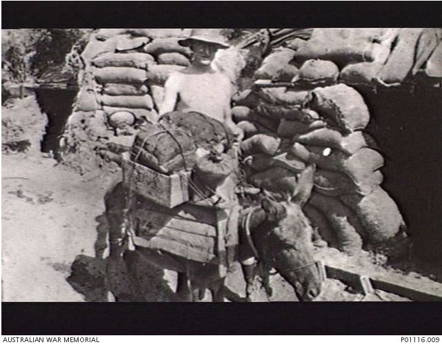 Image Courtesy of the Australian War Memorial. Image No. P01116.009 http://www.awm.gov.au/collection/P01116.009