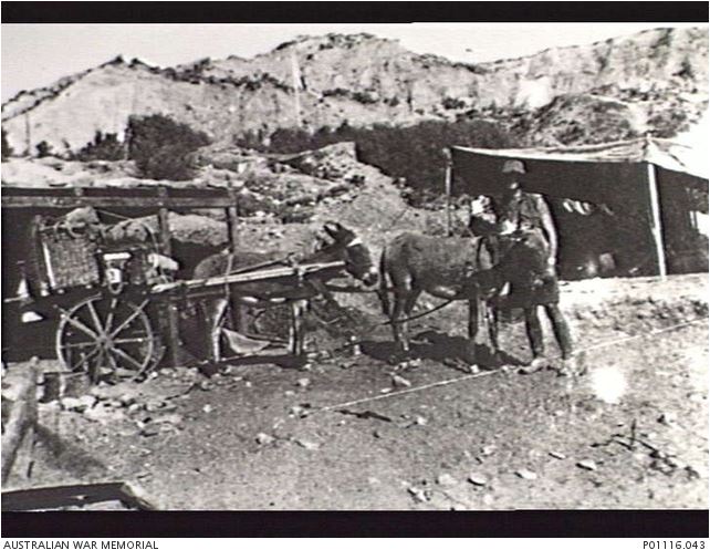 Image Courtesy of the Australian War Memorial. Image no. P01116.043 http://www.awm.gov.au/collection/P01116.043
