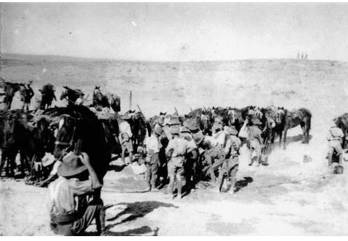 4th Light Horse in Palestine c 1915. Image courtesy of Picture Queensland, State Library of Queensland Image no. 182314 http://trove.nla.gov.au/version/47940236