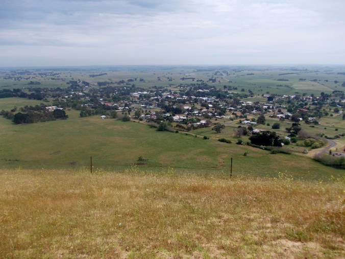 LOOKING OVER PENSHURST FROM MT.ROUSE.