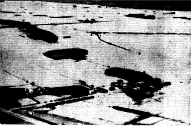 "TOWNSHIP ISOLATED" Examiner (Launceston, Tas. : 1900 - 1954) 21 March 1946: .