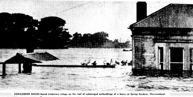 "Flood Pictures From Inundated Western District" The Argus (Melbourne, Vic. : 1848 - 1957) 19 March 1946: .