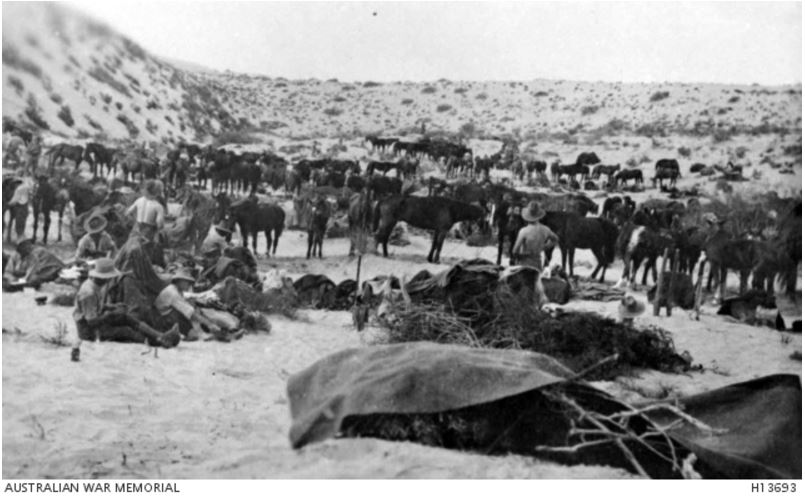 8th LHR, A SQUADRON, SINAI, EGYPT c1916. Image courtesy of the Australian War Memorial https://www.awm.gov.au/collection/H13693/