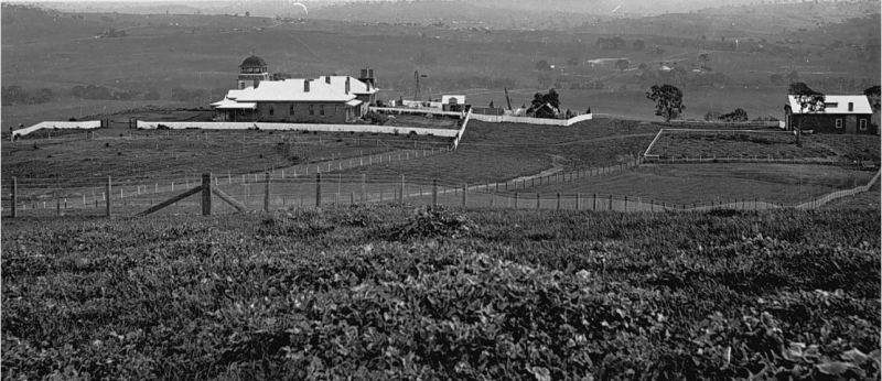 TALISKER, MERINO 1901. Image courtesy of the Museum Victoria Collections http://collections.museumvictoria.com.au/items/766380